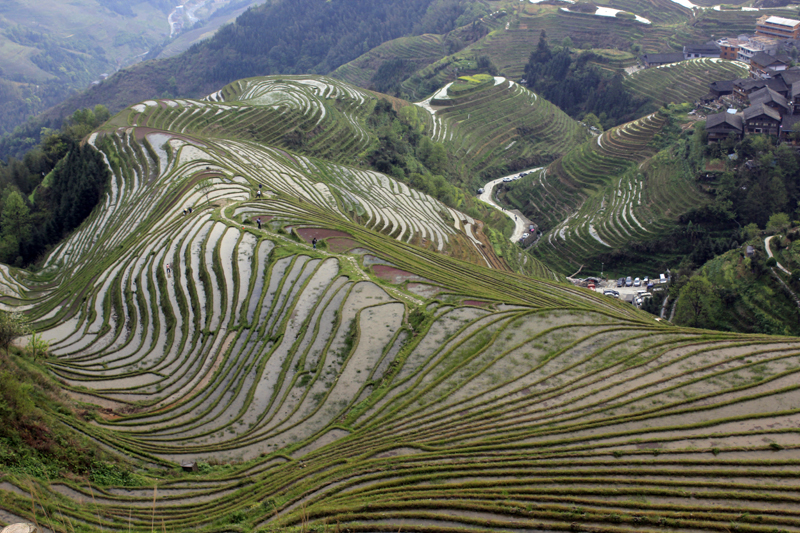 2017-04-11_171108 china-2017.jpg - Longsheng - Pingan - Reisterassen